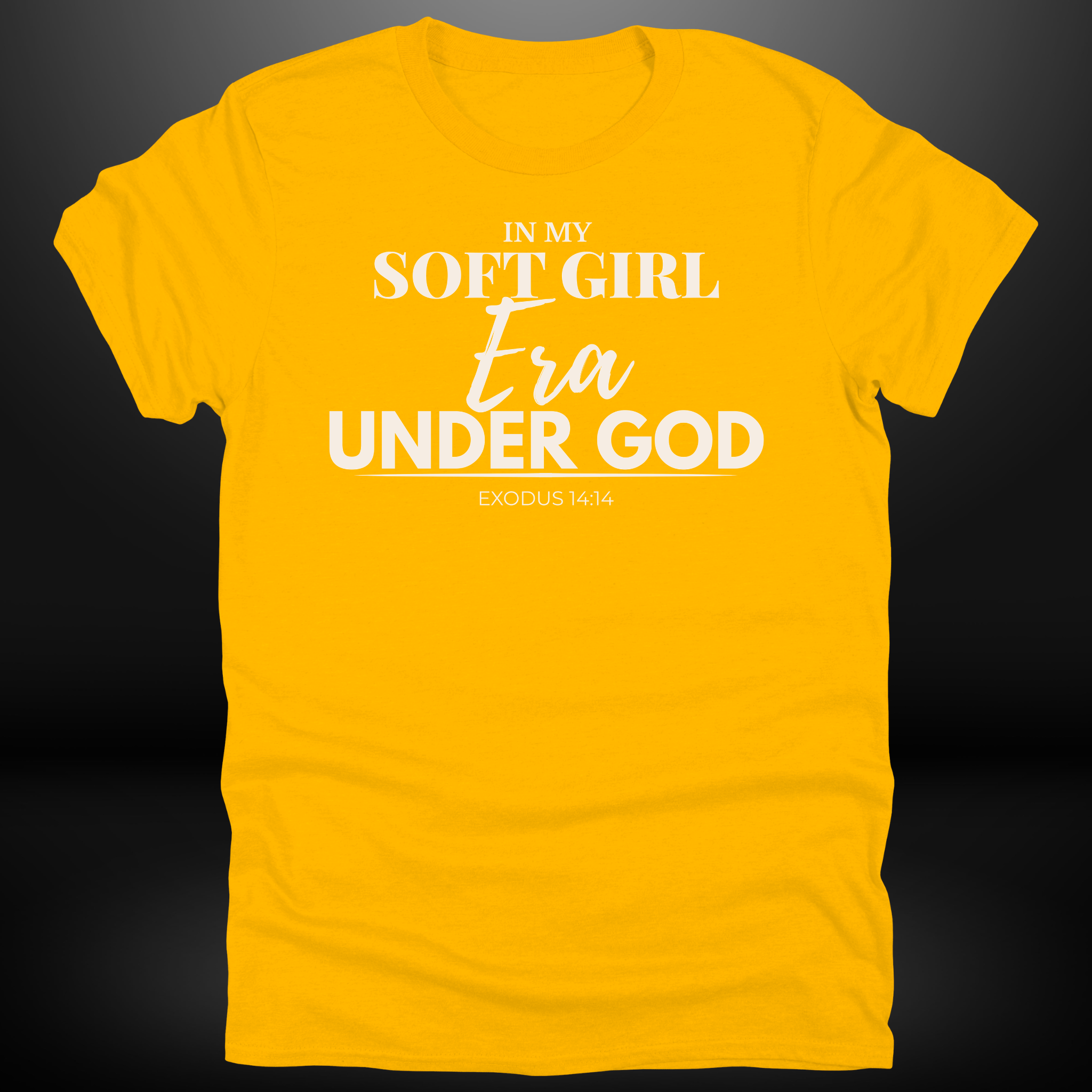 In My Soft Girl Era Under God Tee