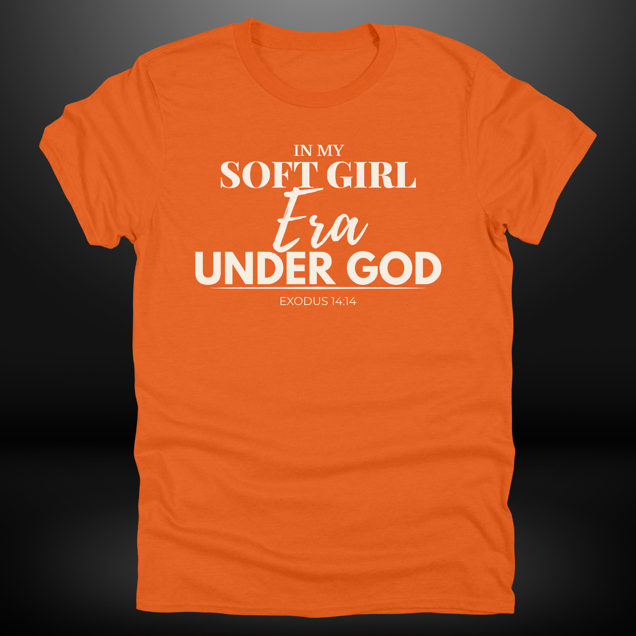 In My Soft Girl Era Under God Tee
