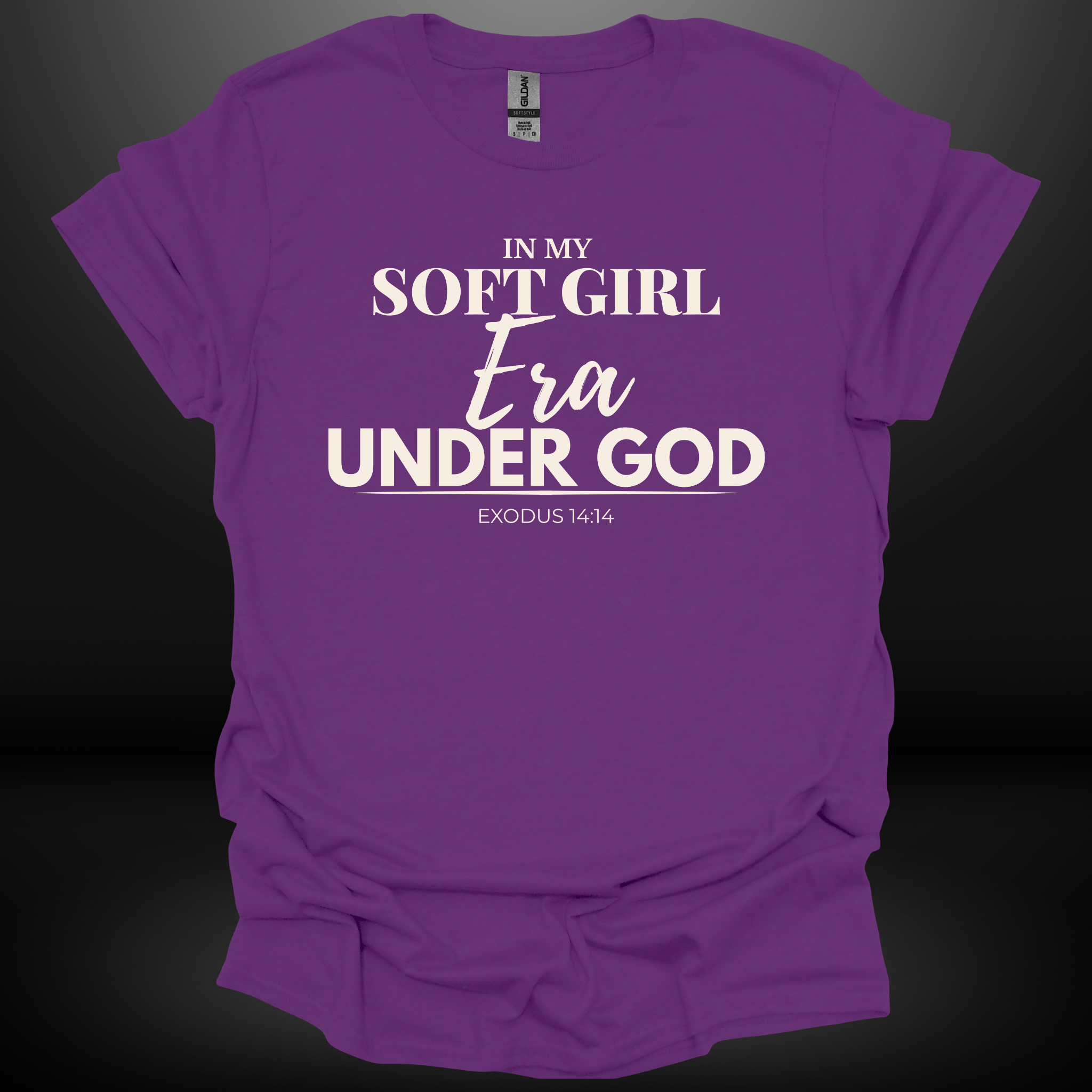 In My Soft Girl Era Under God Tee