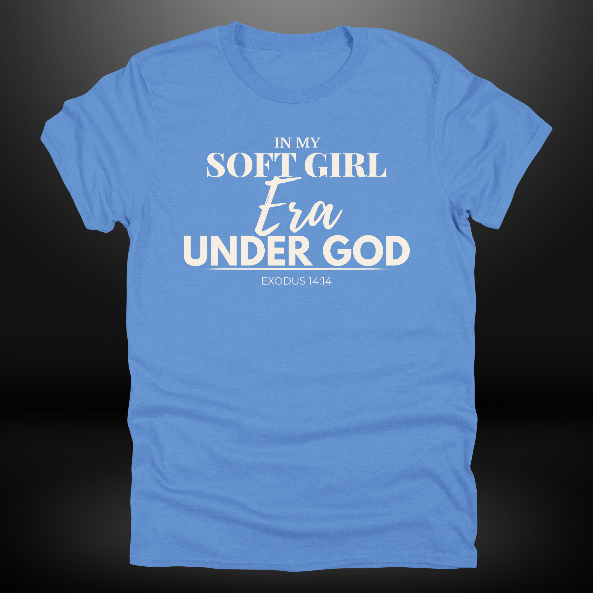 In My Soft Girl Era Under God Tee