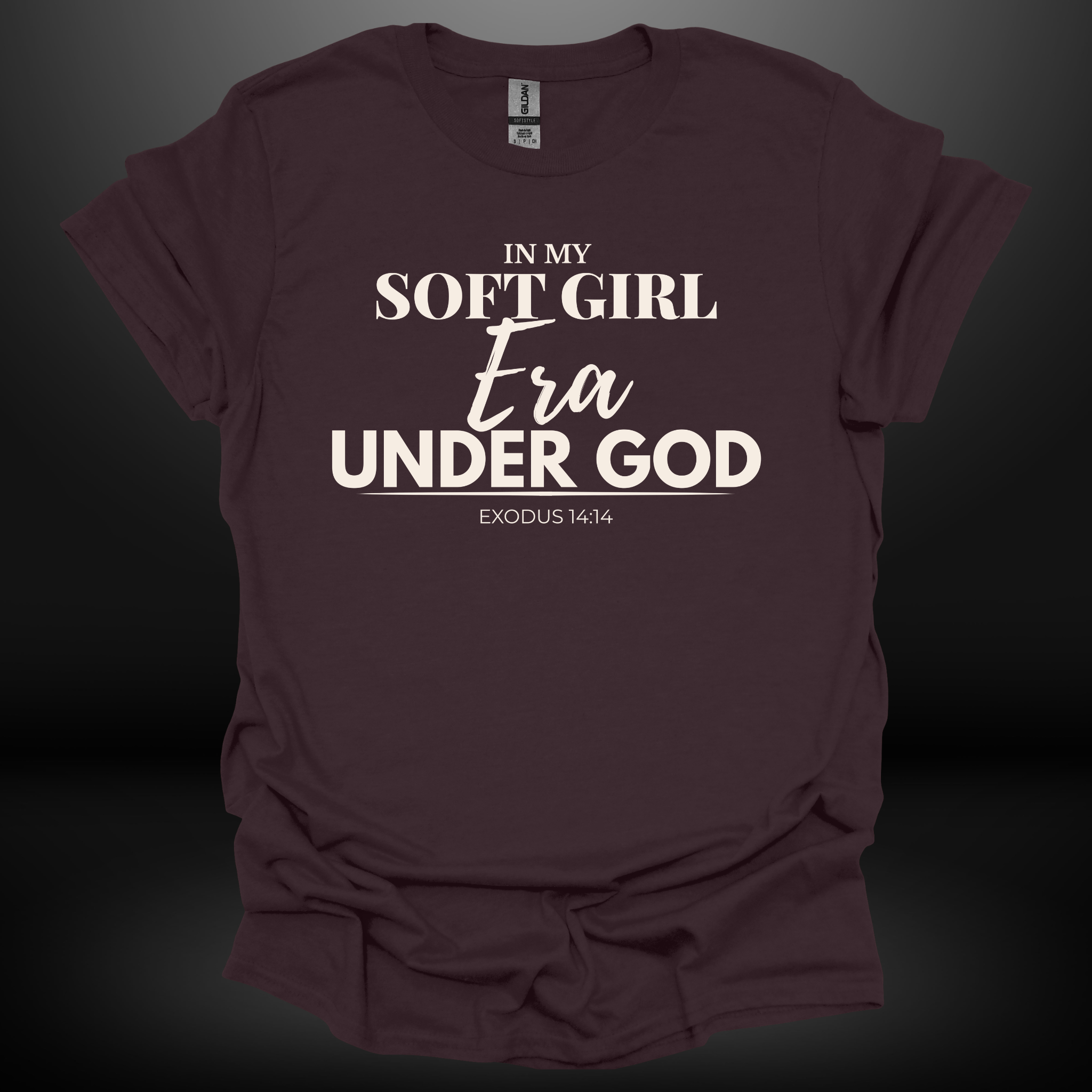 In My Soft Girl Era Under God Tee