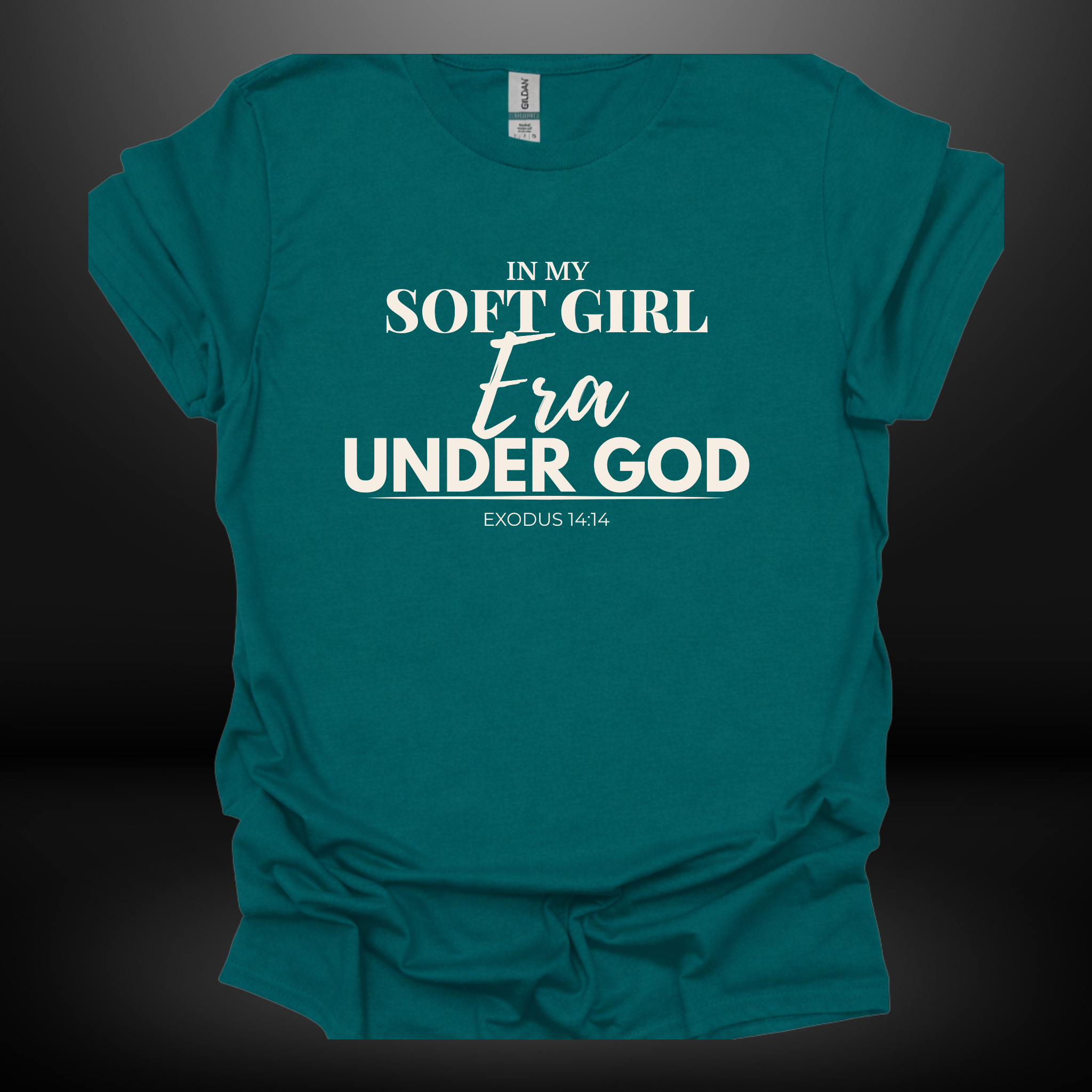 In My Soft Girl Era Under God Tee